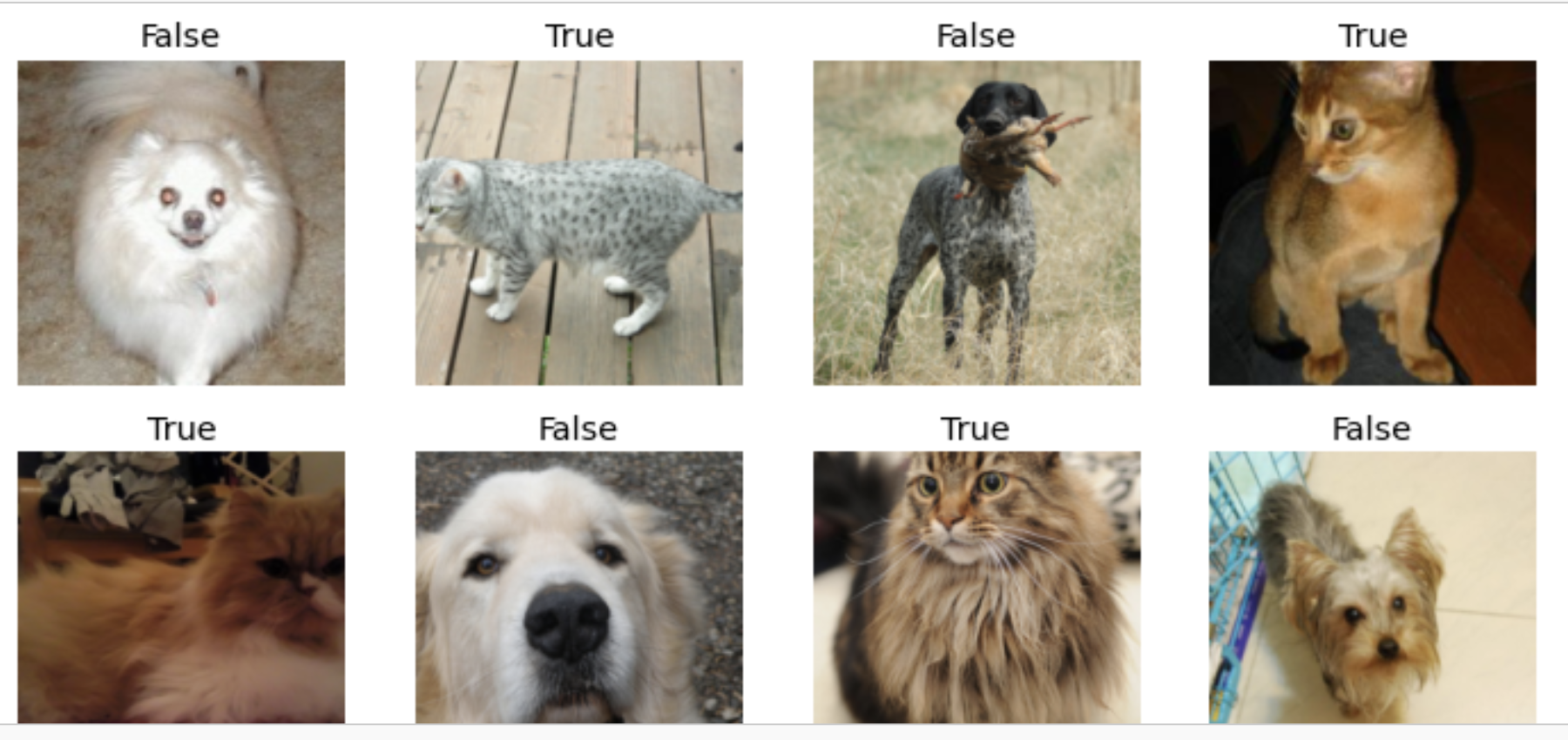 🐻 Deep Learning Image Recognition: 3 Projects in One